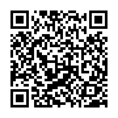 QR code for 370LUZ