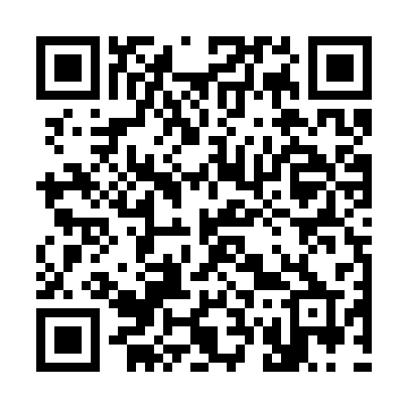 QR code for 375SSP