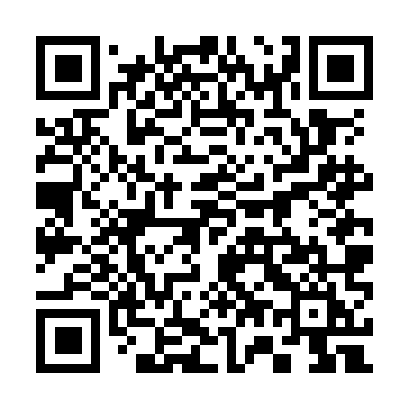 QR code for 376OMI