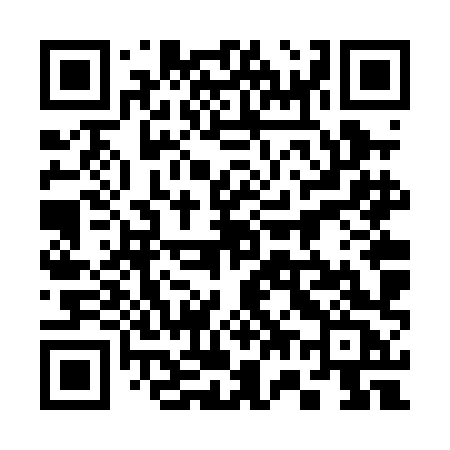QR code for 376PHC