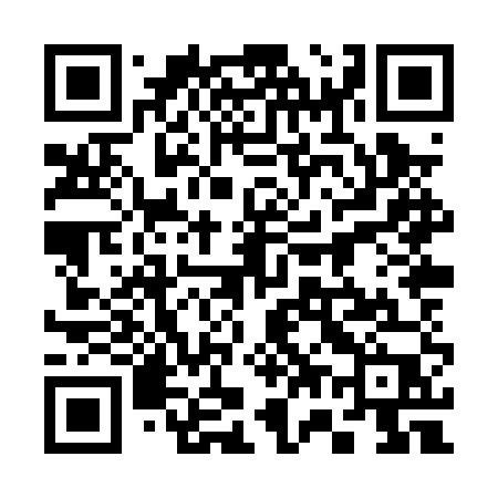 QR code for 378PUP