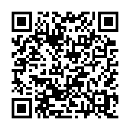 QR code for 379STM