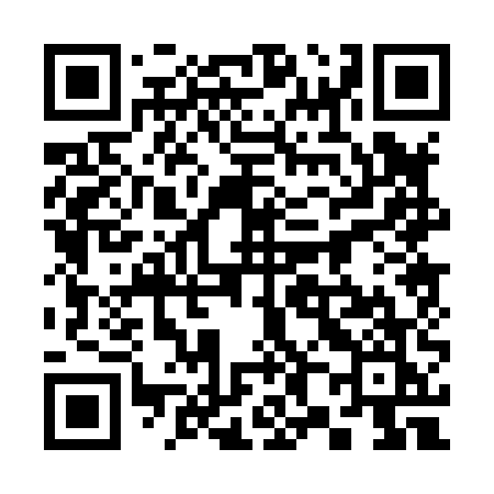 QR code for 38085K