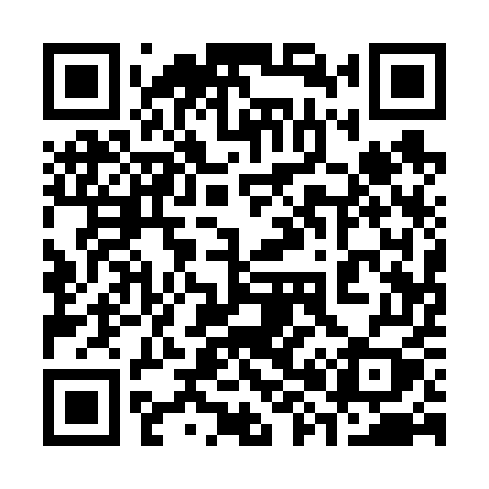 QR code for 38165Y