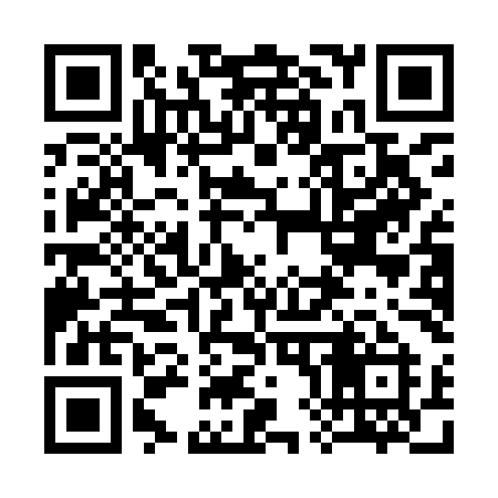 QR code for 381IMI