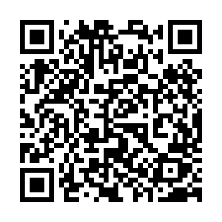 QR code for 381PNZ