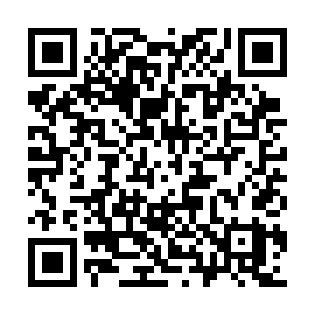 QR code for 381SDY