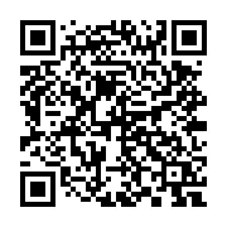 QR code for 381TZQ