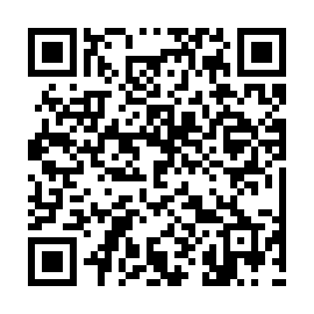 QR code for 3823MP
