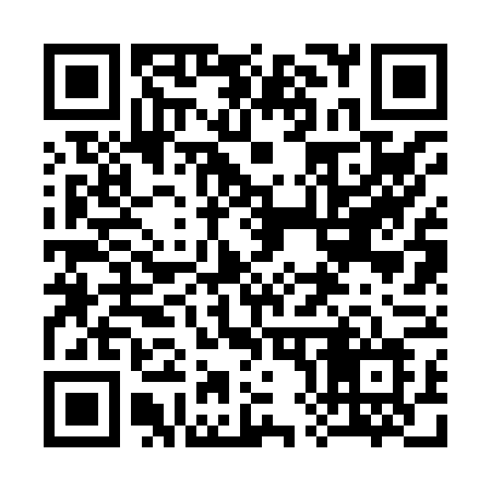 QR code for 38286L