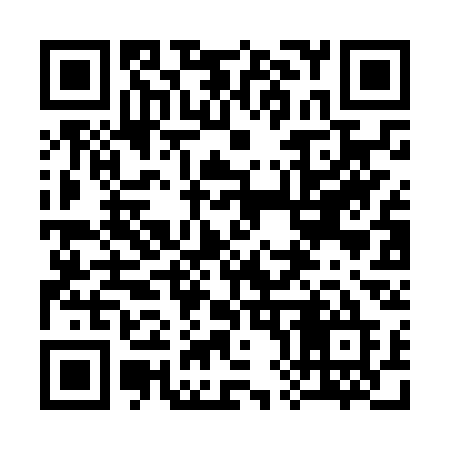 QR code for 382NSE