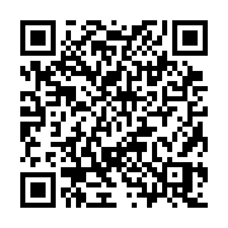 QR code for 3833FR