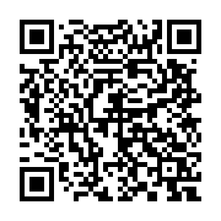 QR code for 38356S