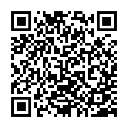 QR code for 38394U