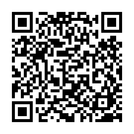 QR code for 383DIC