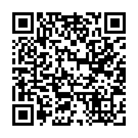 QR code for 383IZZ