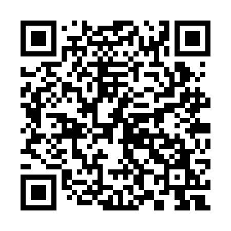 QR code for 383RGO