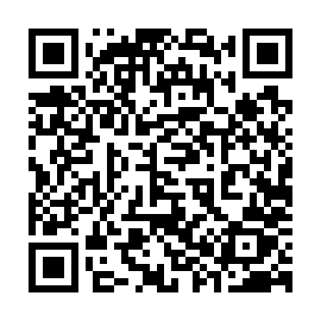 QR code for 38478Z