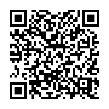 QR code for 38485P