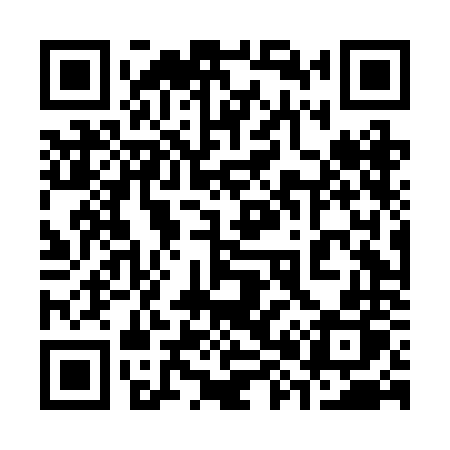 QR code for 384BNP
