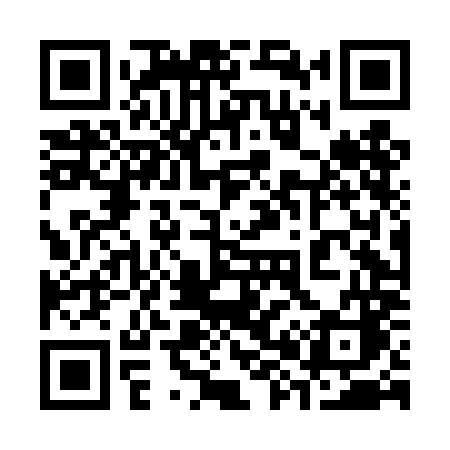 QR code for 384DMC