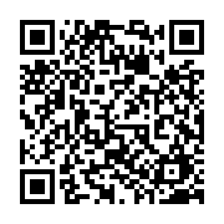 QR code for 384OSG
