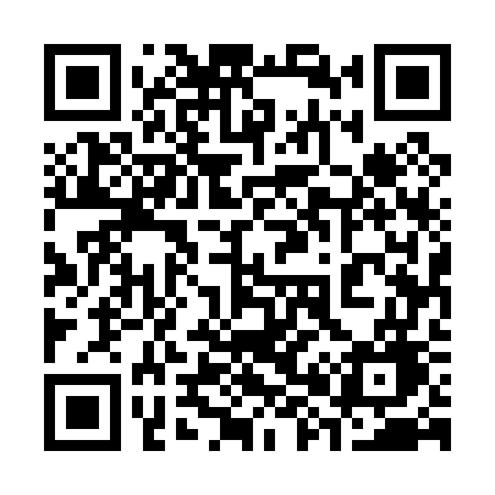 QR code for 38507G