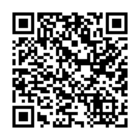 QR code for 38511I