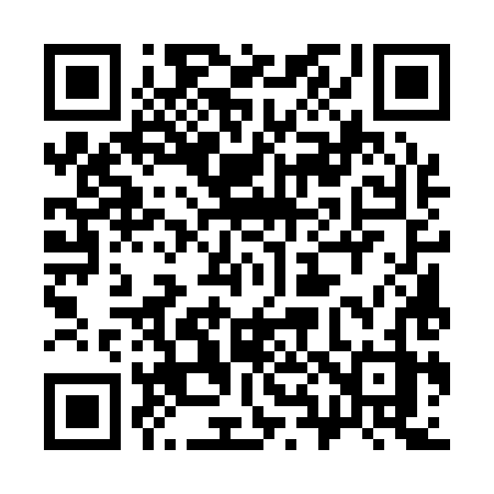QR code for 38518Z
