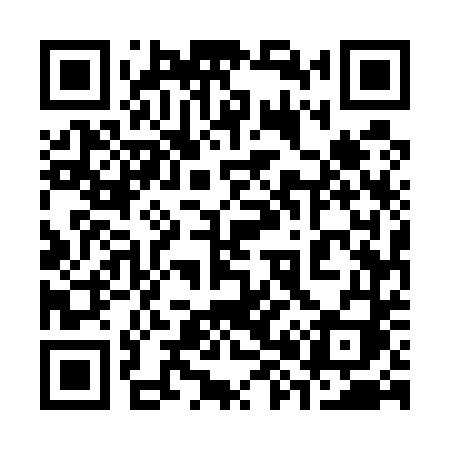 QR code for 38554I
