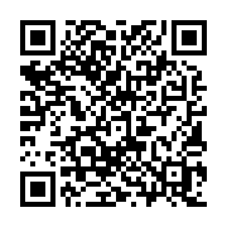 QR code for 38581H