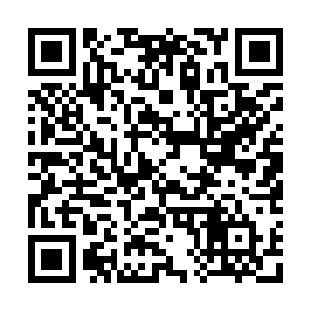QR code for 38594T