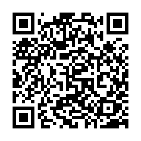 QR code for 38598X