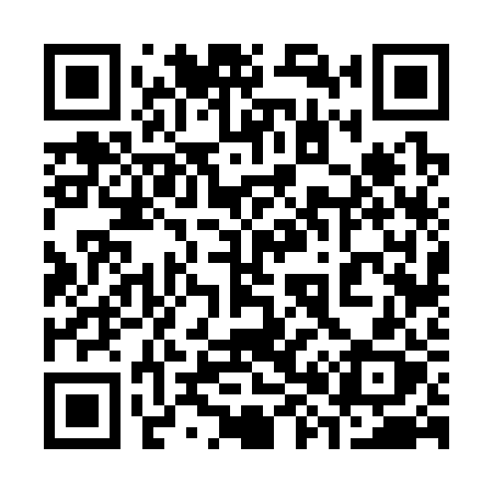 QR code for 38632X