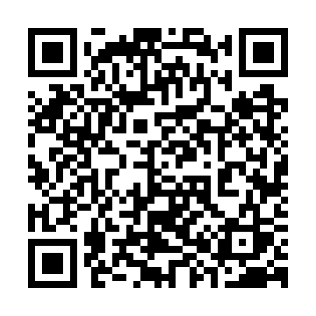 QR code for 3867SS
