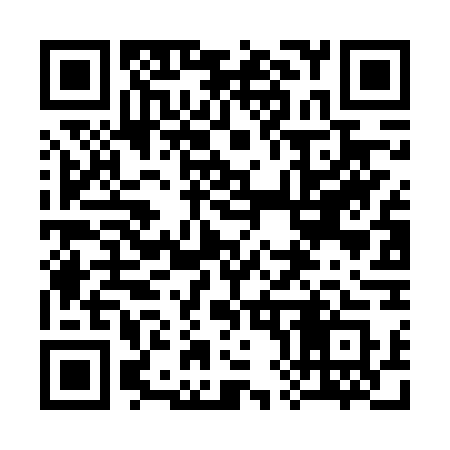 QR code for 386FWS