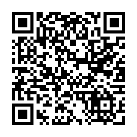 QR code for 386NVM