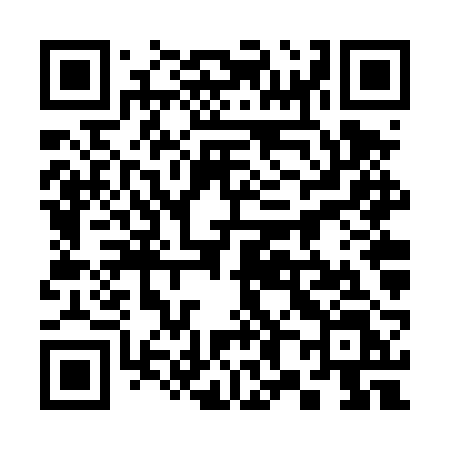 QR code for 386TRL