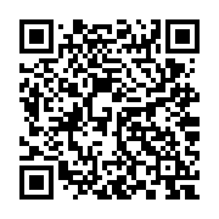 QR code for 386VAI