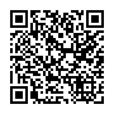 QR code for 3878CK