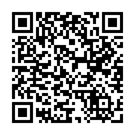 QR code for 387CLT