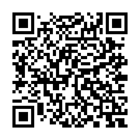 QR code for 388POI