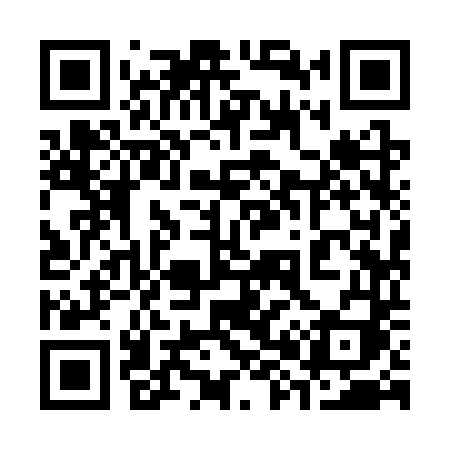 QR code for 3893TI