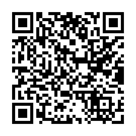 QR code for 389XTS