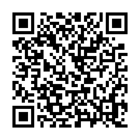 QR code for 393FSN
