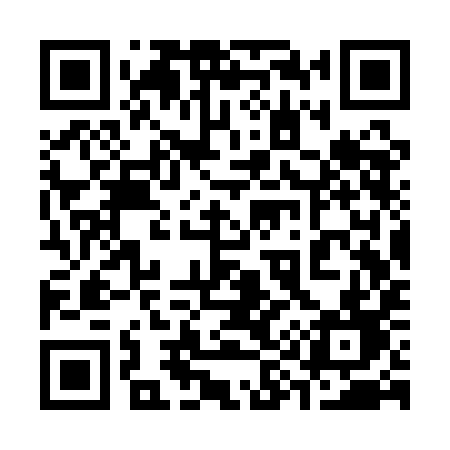 QR code for 393QID