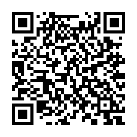 QR code for 397PBI