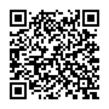 QR code for 397PEY