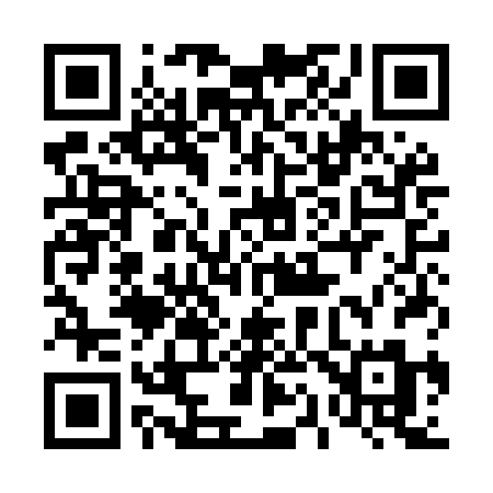QR code for 411MBM