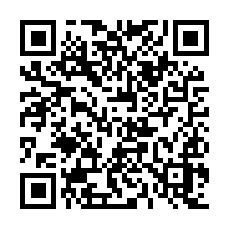 QR code for 411MYZ